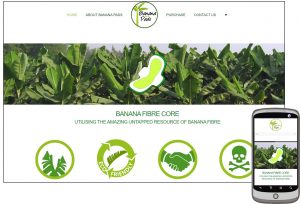 Banana Pads Website Design by Dynamic Dolphin Designs