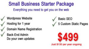 Website Design Starter Package by Dynamic Dolphin Designs